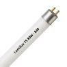 Lumilux T5 FQ HO 80W - 840 Blanco Frío | 145cm