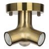 Bailey | Luminaria de techo/pared | LED intercambiable | 60W No regulable