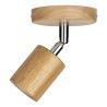 Bailey | Luminaria de techo/pared | LED intercambiable | 60W no regulable