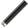 Lámpara de luz negra G13 | 36W Lámpara de luz negra G13 | 36W