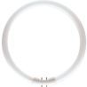 Philips | Accesorio 2GX13 Tubo fluorescente 18mm 23.5W Philips | Accesorio 2GX13 Tubo fluorescente 18mm 23.5W
