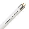 MASTER TL5 HO 24W - 840 Blanco Frío | 55cm