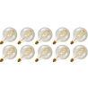Lighto | Filamento LED | Casquillo grande E27 | Globelamp | Oro | 125mm | 5W | 10 uds. Lighto | Filamento LED | Casquillo grande E27 | Globelamp | Oro | 125mm | 5W | 10 uds.