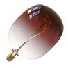 Calex | Filamento LED | Casquillo grande E27 | Lámpara de diseño | 170mm | 5W