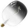 Calex | Filamento LED | Casquillo grande E27 | Lámpara de diseño | 170mm | 5W Calex | Filamento LED | Casquillo grande E27 | Lámpara de diseño | 170mm | 5W