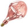 Calex | Filamento LED | Casquillo grande E27 | Lámpara de diseño | 165mm | 6W
