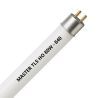 MASTER TL5 HO 80W - 840 Blanco Frío | 145cm