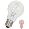 Bailey | Lámpara LED | Casquillo grande E27 | 4W (sustituye 40W) Rojo Bailey | Lámpara LED | Casquillo grande E27 | 4W (sustituye 40W) Rojo