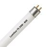 Lumilux T5 FQ HO 24W - 840 Blanco Frío | 55cm