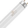 SPL | Tubo fluorescente | G13 Fitting | T8 | 10W | Lámpara UV para insectos | 33cm