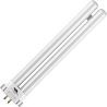 SPL | Lámpara Fluorescente Compacta | Accesorio G10q4 | T6 | 15W | Lámpara UV para insectos | 20cm