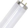 SPL | Tubo fluorescente | Accesorio G13 | T12 | 20W | Lámpara UV para insectos | 59cm SPL | Tubo fluorescente | Accesorio G13 | T12 | 20W | Lámpara UV para insectos | 59cm