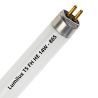 Lumilux T5 FH HE 14W - 865 Luz diurna | 55cm Lumilux T5 FH HE 14W - 865 Luz diurna | 55cm