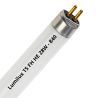 Lumilux T5 FH HE 28W - 840 Blanco Frío | 115cm