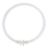 MASTER TL5C Circular 55W - 830 Blanco Cálido | 30cm MASTER TL5C Circular 55W - 830 Blanco Cálido | 30cm