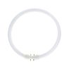 MASTER TL5C Circular 55W - 840 Blanco Frío | 30cm MASTER TL5C Circular 55W - 840 Blanco Frío | 30cm