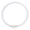 Lumilux T5 Circular FC 22W - 840 Blanco Frío | 23cm Lumilux T5 Circular FC 22W - 840 Blanco Frío | 23cm