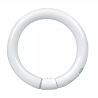 T9 Circline | 30W | G10Q | 830 Blanco cálido