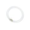 T9 Circline | 22W | G10Q | 830 Blanco cálido