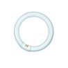 T9 Circline | 32W | G10Q | 830 Blanco cálido T9 Circline | 32W | G10Q | 830 Blanco cálido