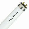 Fluorescente T8 | 18W | Accesorio G13 | 840 Blanco Frío | 60cm