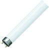 Philips | lámpara fluorescente | casquillo G13 | tubo fluorescente | 60cm | 18.2W