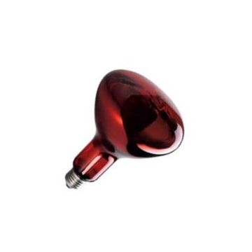 Sylvania | Gloeilamp Reflectorlamp IR | Grote fitting E27 | 250W 125mm Rood