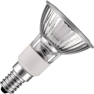 SPL | Casquillo pequeño E14 | Lámpara reflector | Transparente | 52mm | 50W
