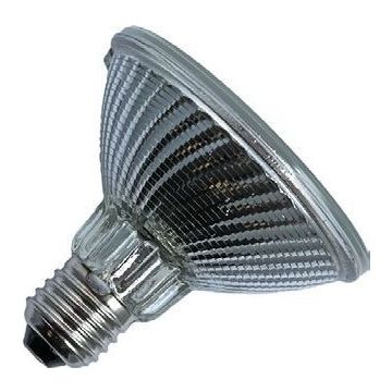 Lámpara halógena | Casquillo grande E27 | Foco | Brillante | 96mm | 50W