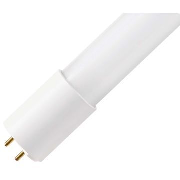 Bailey | Lámpara LED | Accesorio G13 | Lámpara de tubo | 26mm | 16W