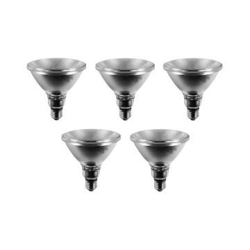 Bombilla | Casquillo grande E27 | Spot | Mate | 122mm | 120W