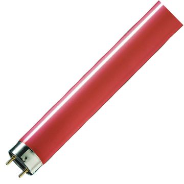 Philips | tubo fluorescente | accesorio G13 | 28mm | 36W
