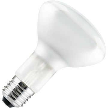 Lámpara incandescente | Racor grande E27 | Lámpara reflector | Mate | 95mm | 100W
